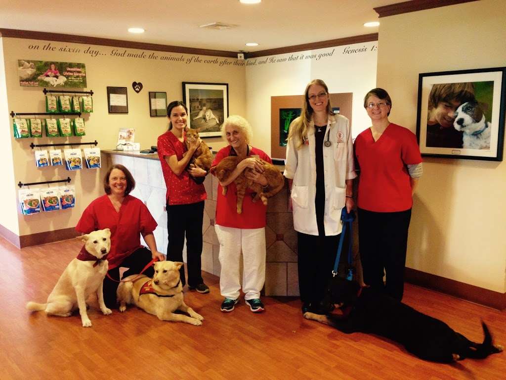 Telford Veterinary Hospital | 78 Souderton Pike, Souderton, PA 18964, USA | Phone: (215) 721-6989