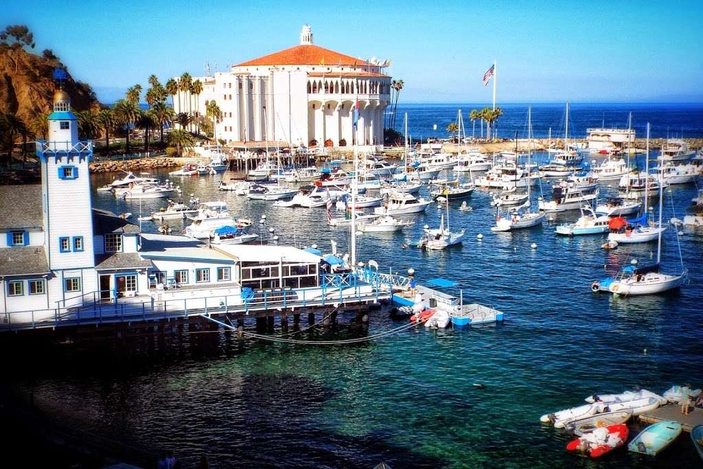 ScubaOne Diving | 15375 Braun Ct, Moorpark, CA 93021, USA | Phone: (919) 810-1833