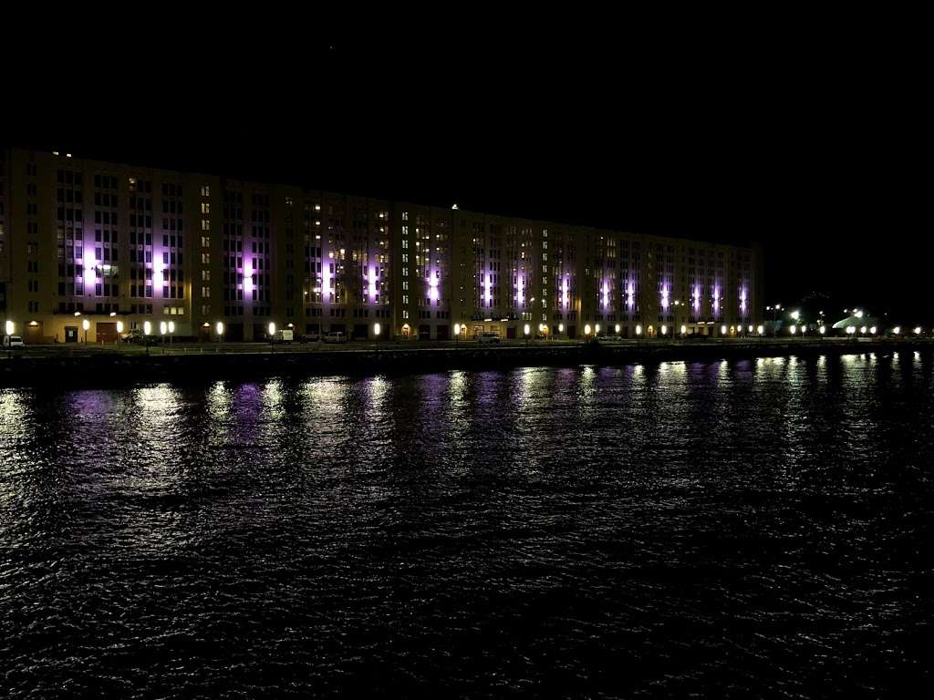 Swale | Brooklyn Army Terminal, Pier 4, Brooklyn, NY 11220, USA