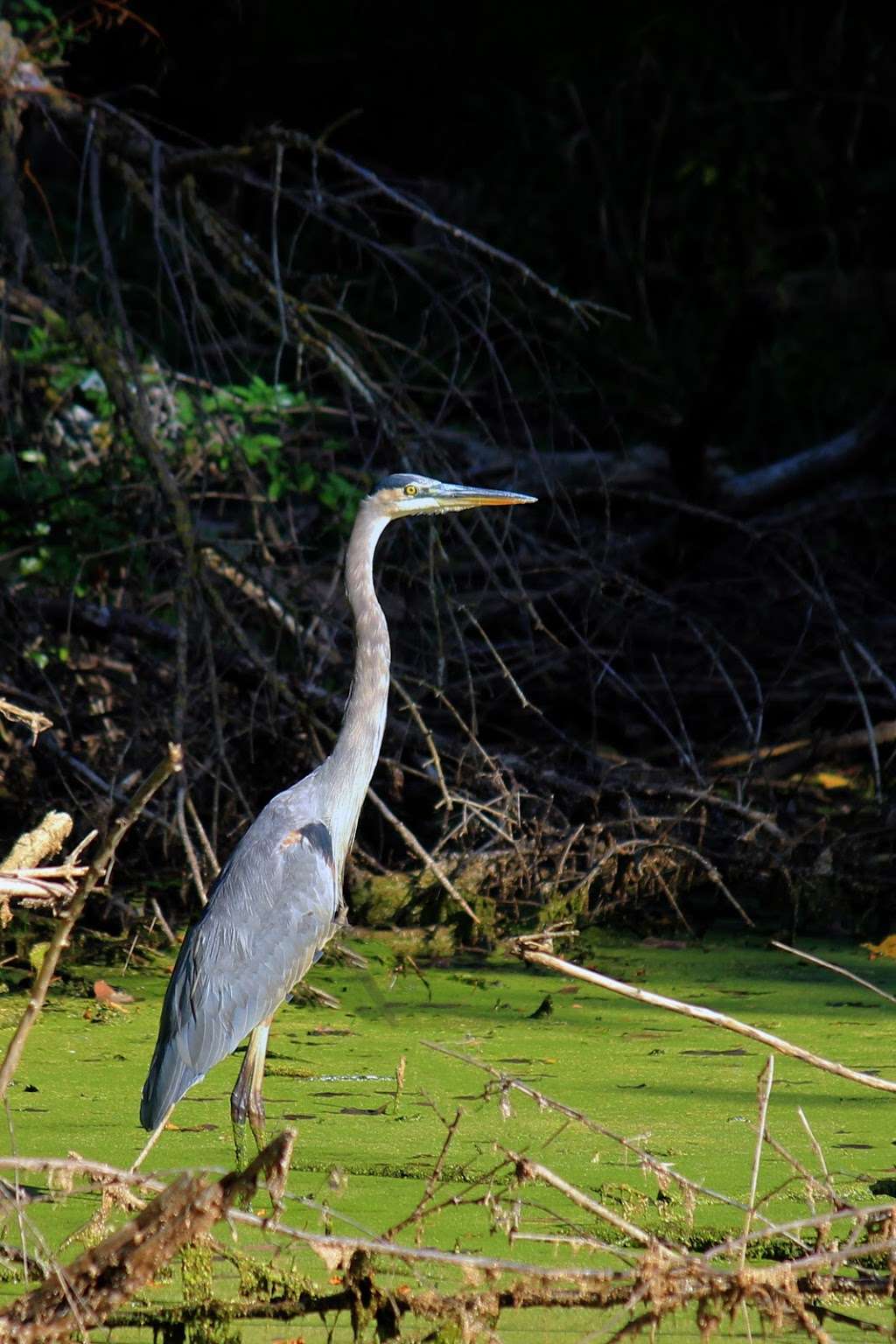 St. Catherines Trout Ponds | 5021-5083 4 Mile Rd, Racine, WI 53402, USA