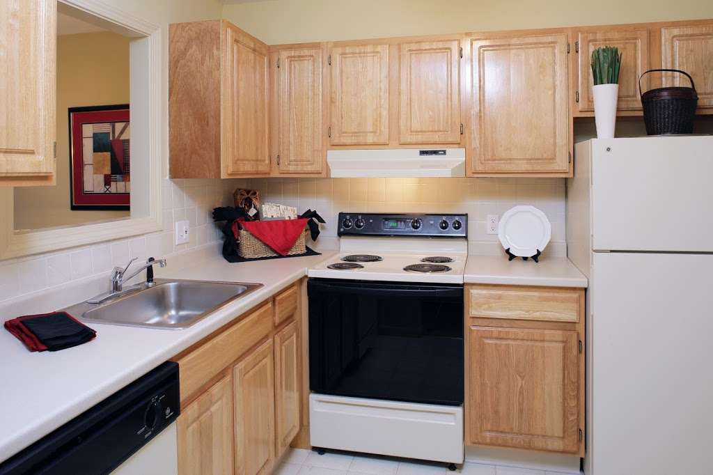 SoMa Apartments | 15 Bismarck St, Mattapan, MA 02126 | Phone: (617) 298-6699