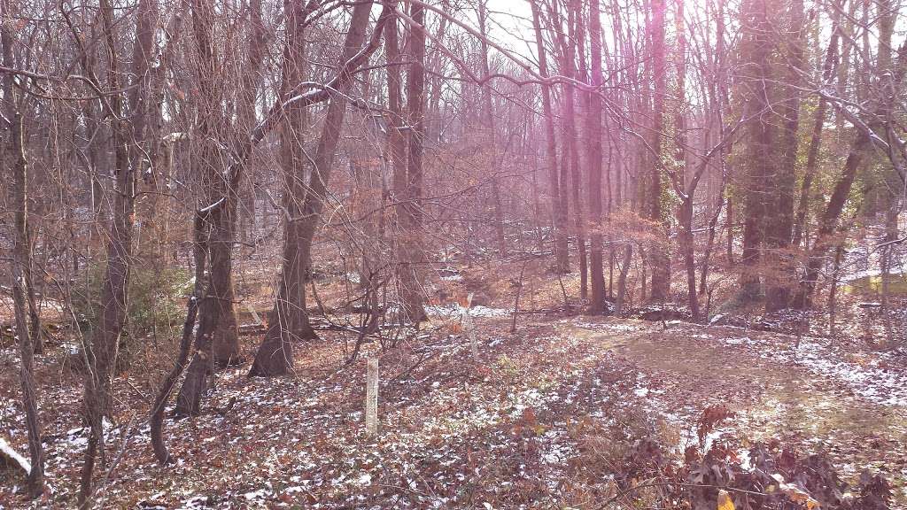 Luria Park | 7624 Holmes Run Dr, Falls Church, VA 22042, USA