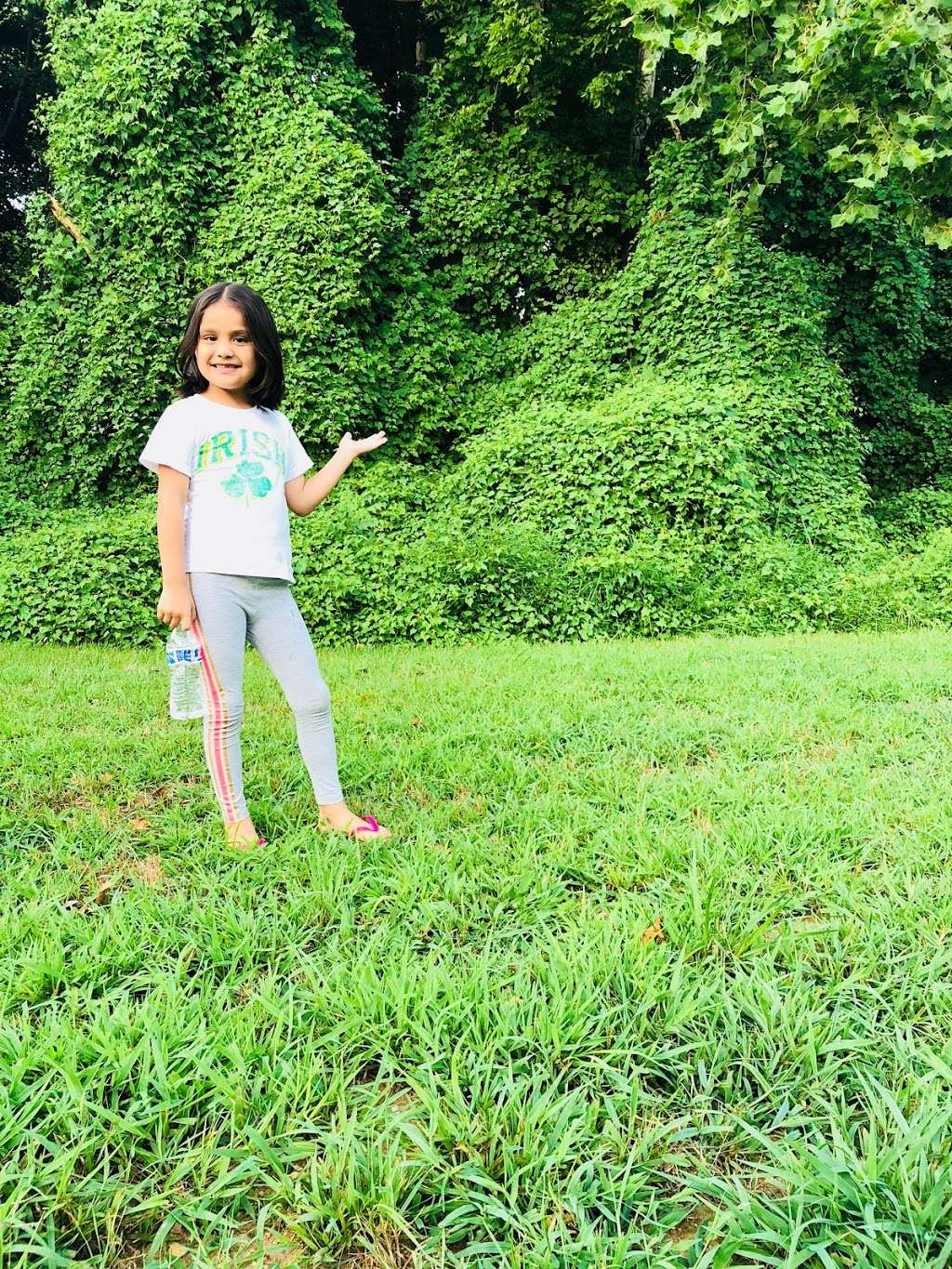 Dominion Trail Elementary School | 44045 Bruceton Mills Ci, Ashburn, VA 20147, USA | Phone: (571) 252-2340