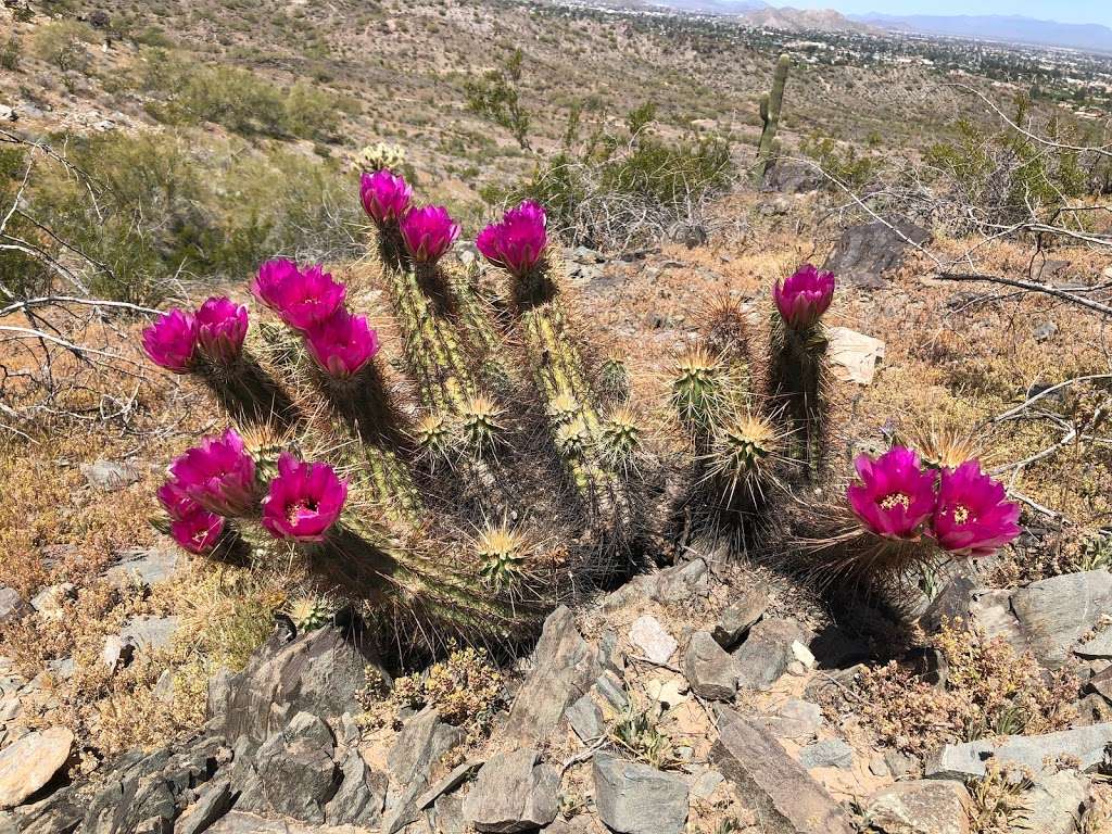 Voaz Trail | Voaz, Phoenix, AZ 85028, USA