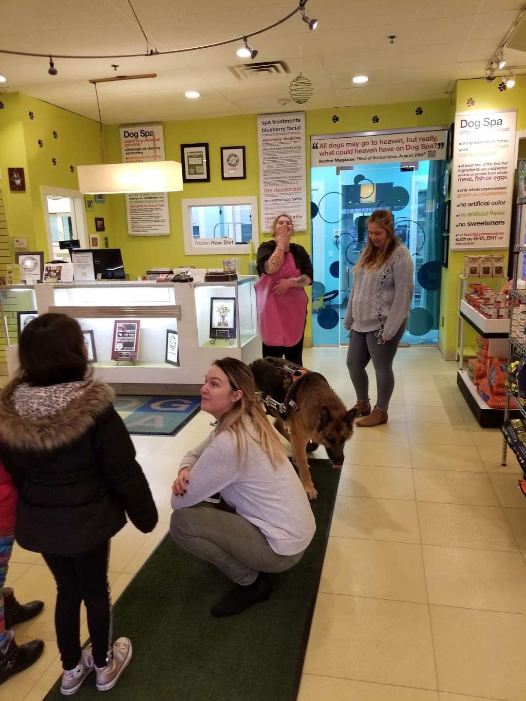 DOGSPA | 45 Enon St #5, Beverly, MA 01915, USA | Phone: (978) 712-4331