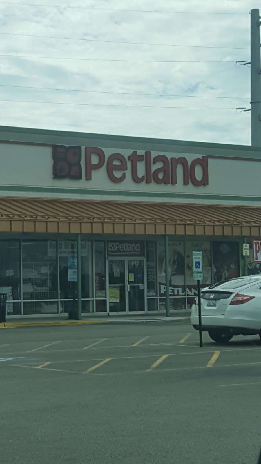 Petland Round Lake Beach | 815 E Rollins Rd, Round Lake Beach, IL 60073, USA | Phone: (847) 223-7731