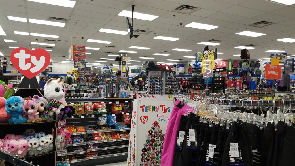 Big 5 Sporting Goods | 2930 N Power Rd, Mesa, AZ 85215, USA | Phone: (480) 854-1889