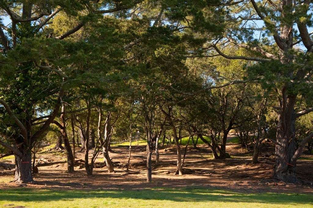 DeLaveaga Park | 855 Branciforte Dr, Santa Cruz, CA 95065, USA | Phone: (831) 420-5270