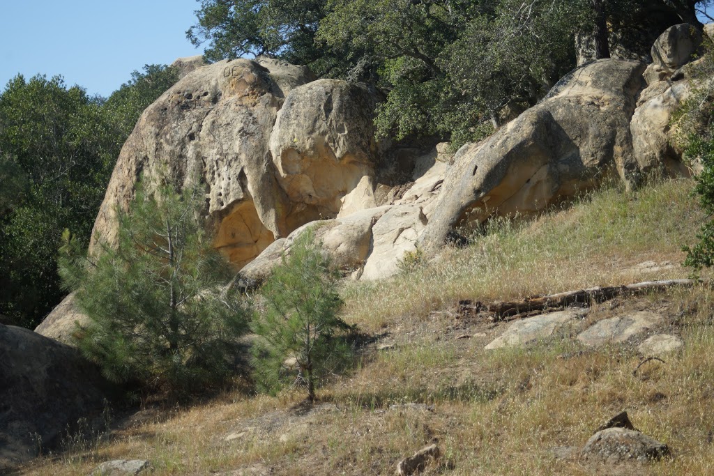 Elephant Rock | Danville, CA 94506, USA