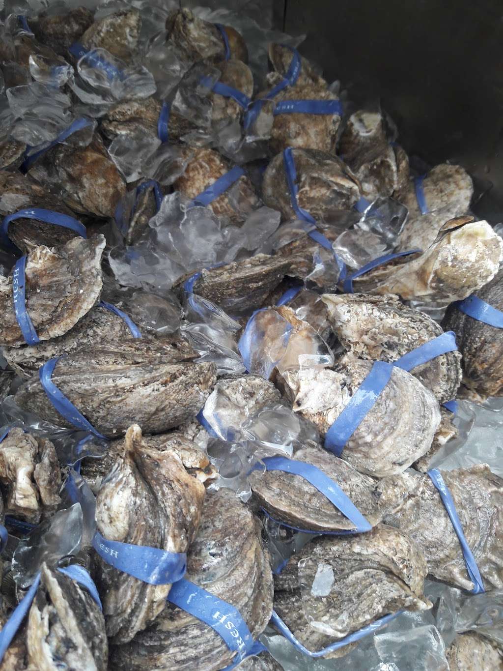 Crabs4you/ Jemcco Produce | 38030 US-27, Davenport, FL 33837, USA | Phone: (863) 409-7449