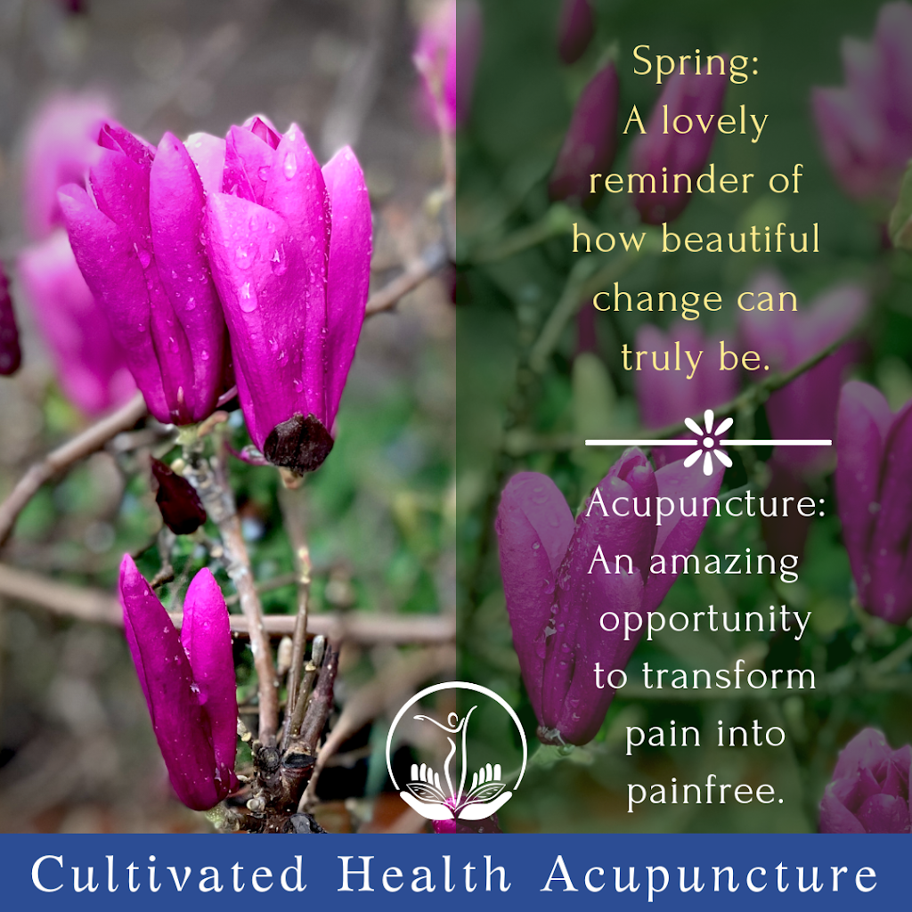 Cultivated Health Acupuncture | 400 Carlton Ave #7, Los Gatos, CA 95032 | Phone: (408) 490-0308