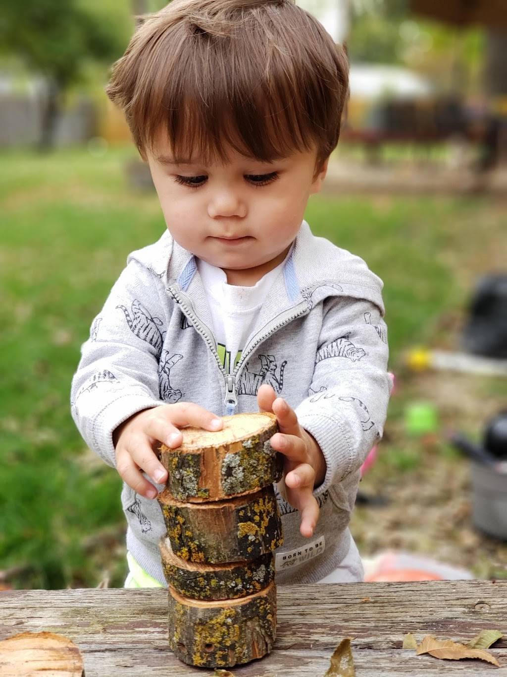 Bloom & Grow Playful Early Learning | 2820 Carson Way, Sacramento, CA 95821 | Phone: (707) 616-1011