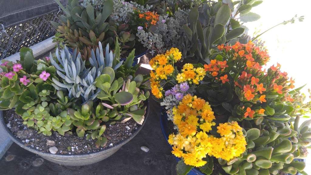 Lowes Garden Center | 14333 Bear Valley Rd, Victorville, CA 92392, USA | Phone: (760) 949-9565