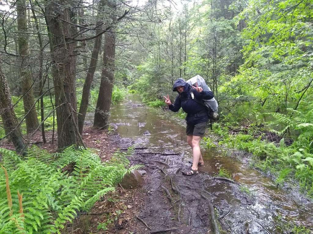 Appalachian Trail | Barrett Rd, Highland Lakes, NJ 07422, USA