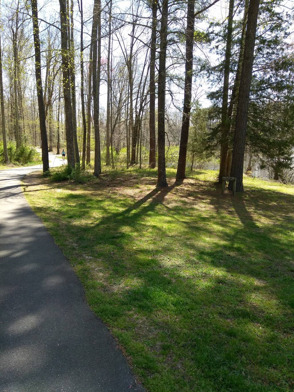 Echo Lake County Park | 5701 Springfield Rd, Glen Allen, VA 23060, USA | Phone: (804) 501-7275