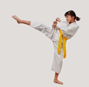 Martial Arts USA | 11010 W 179th St, Orland Park, IL 60467 | Phone: (708) 995-7974