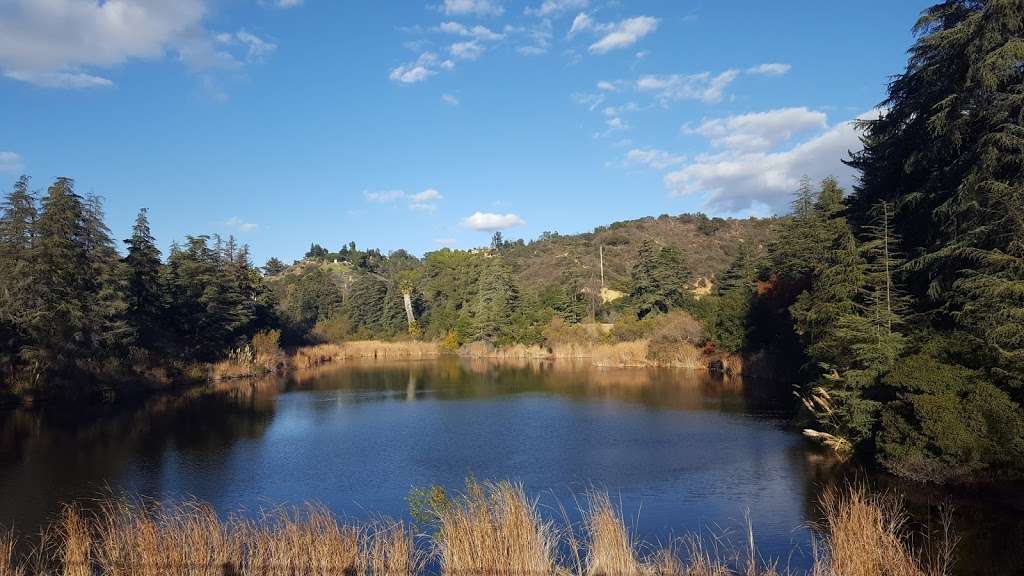 Turtle Pond Trail | Turtle Pond Trail, Beverly Hills, CA 90210, USA