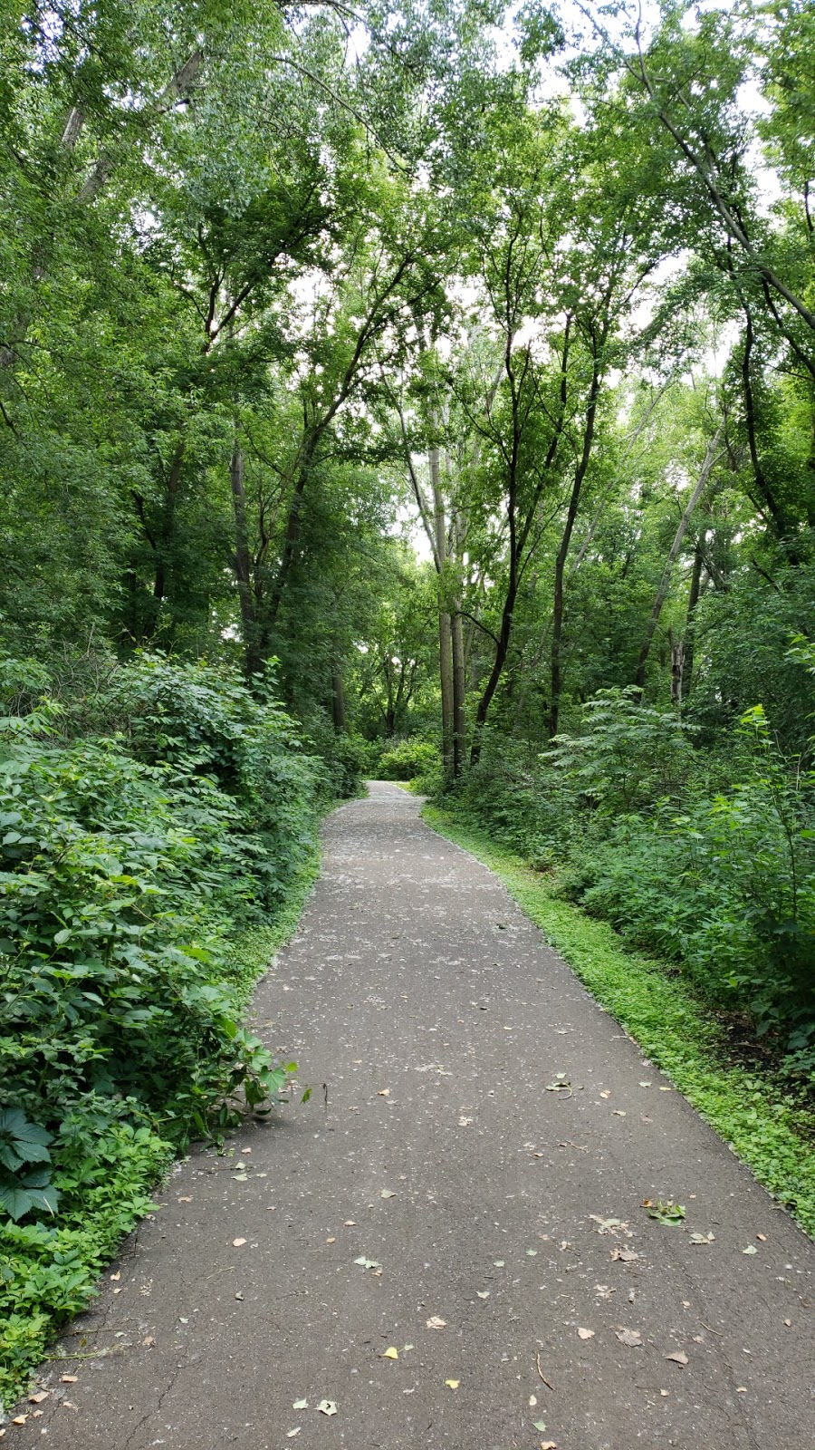 Parkside Park | 700 99th Ave NW, Coon Rapids, MN 55433, USA | Phone: (763) 755-2880