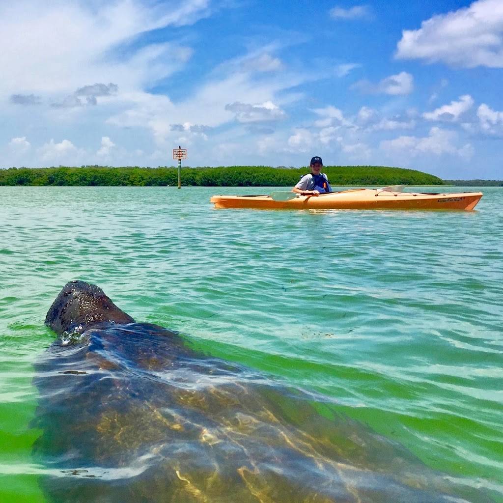Coastal Kayak Charters | 1901 Pass a Grille Way, St Pete Beach, FL 33706, USA | Phone: (727) 207-6342