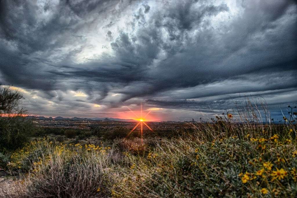 Trail Head Preserve - McDowell Mountains | Scottsdale, AZ 85255, USA