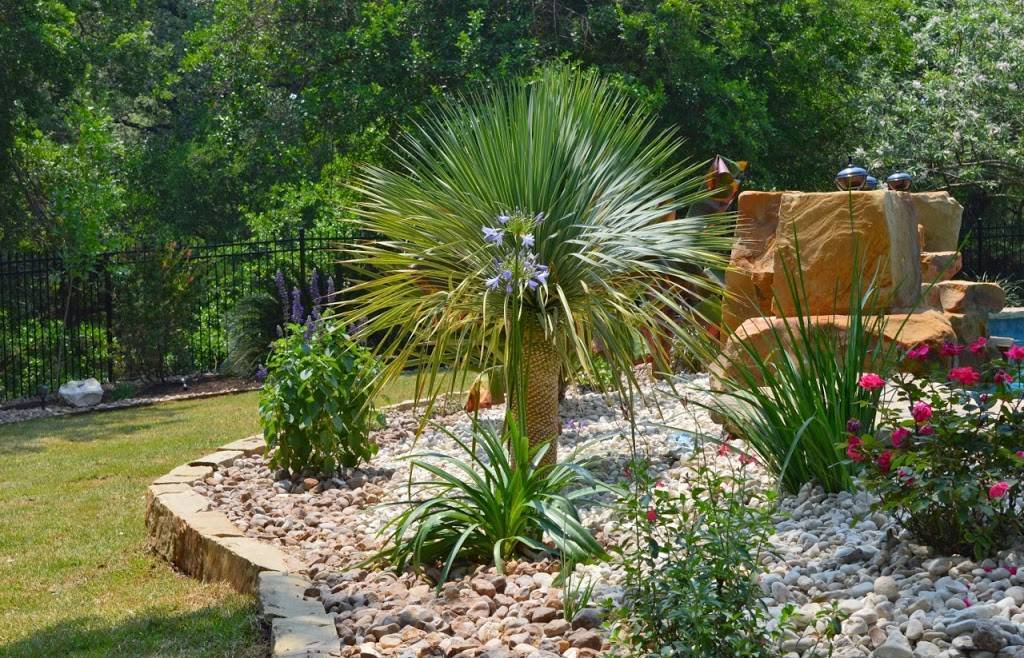 Built To Bloom | 27128 Blanco Rd, San Antonio, TX 78260 | Phone: (210) 995-5691