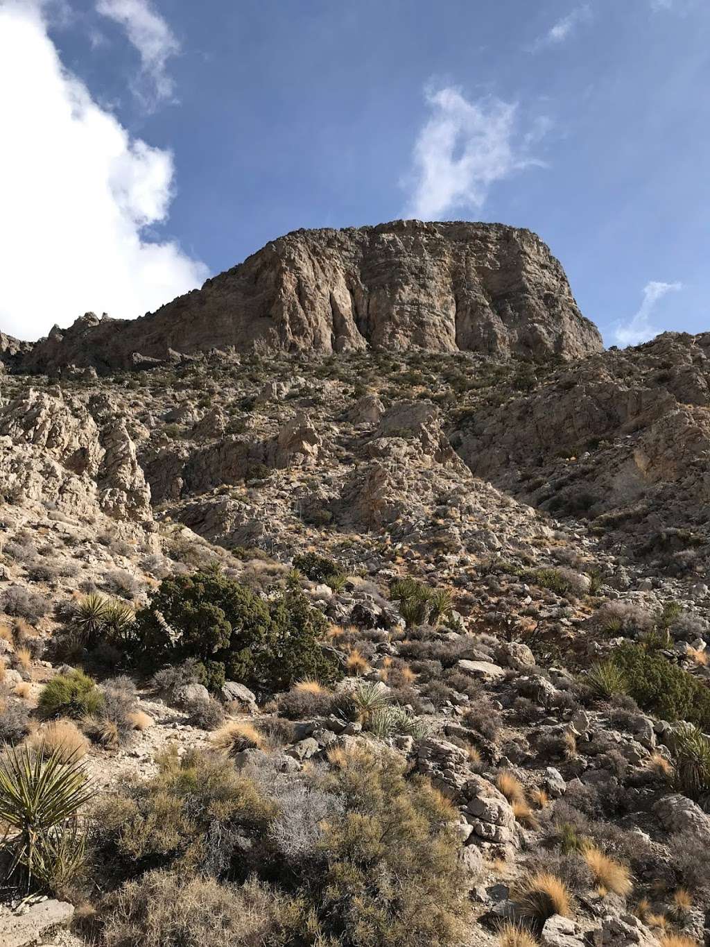 Turtlehead Peak Trailhead | Sandstone Quarry, Las Vegas, NV 89161, USA