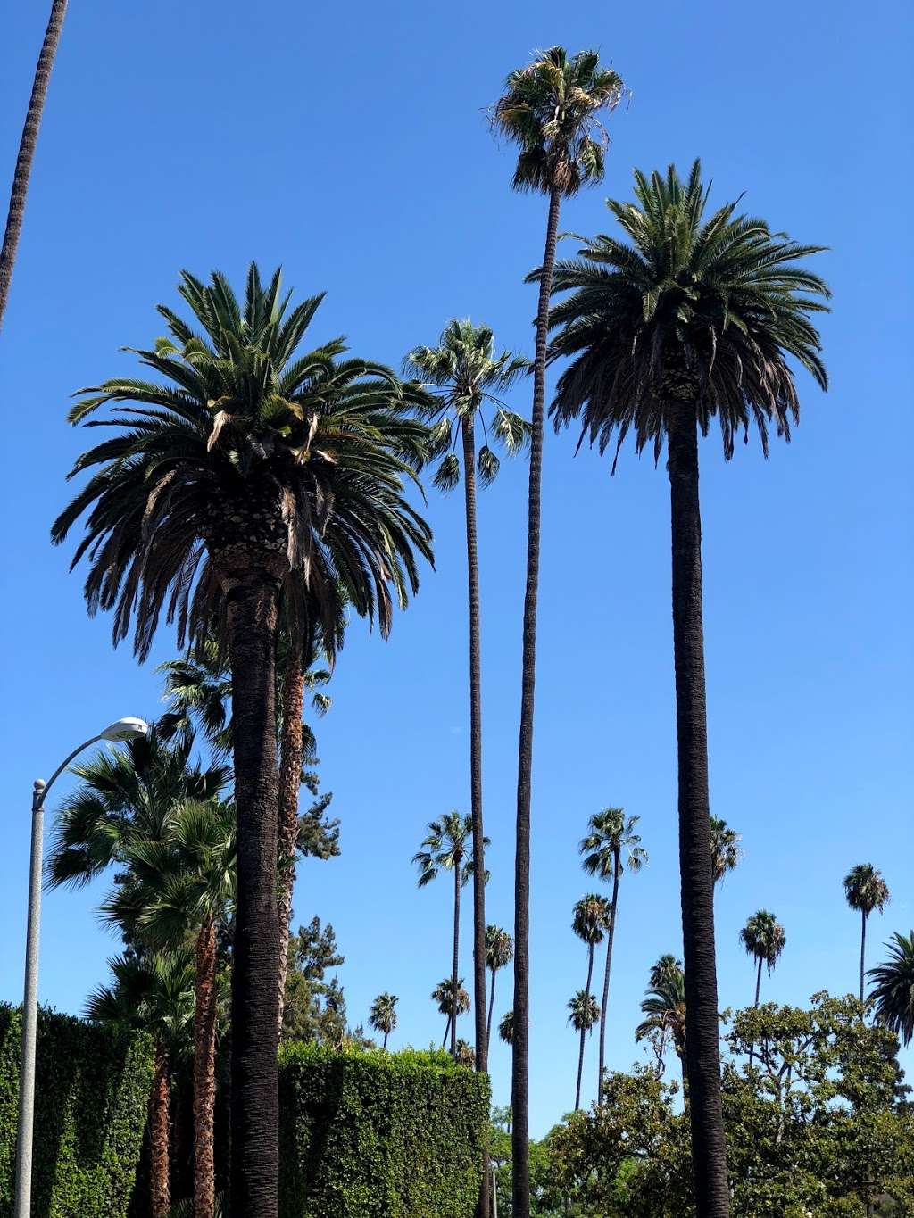 Will Rogers Memorial Park | Beverly Hills, CA 90210, USA | Phone: (213) 689-8424