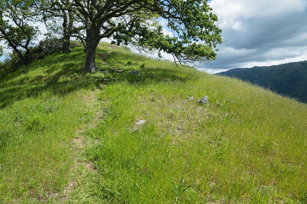 Eagles Eyrie Backpack Camp | Sunol, CA 94586, USA