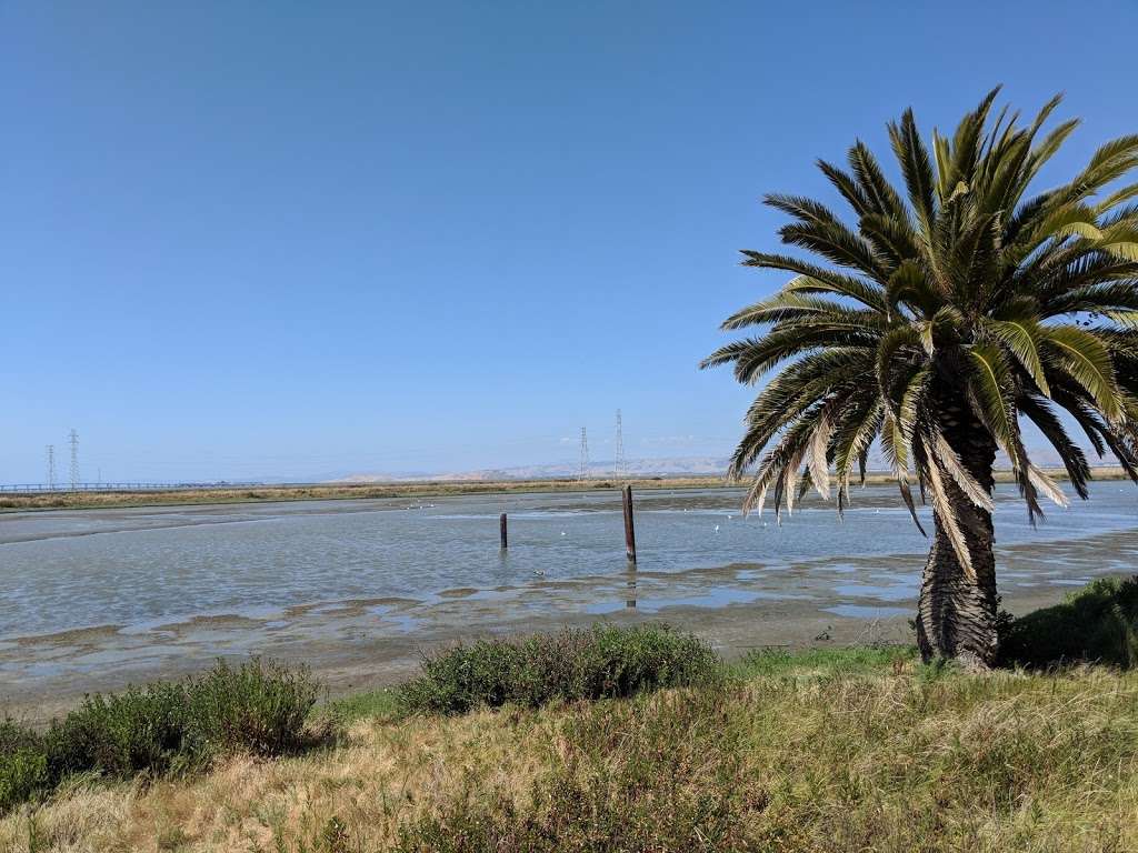 Baylands Nature Preserve - City of Palo Alto | Palo Alto, CA 94303, USA | Phone: (650) 617-3156