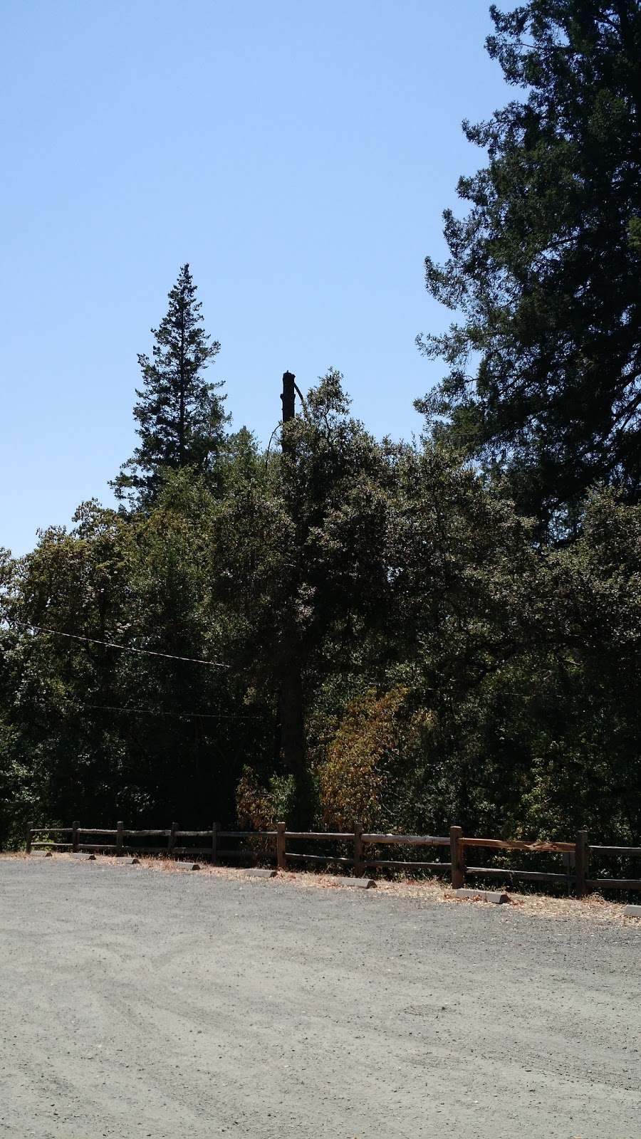 Oakmont Village Market | 6550 Oakmont Dr, Santa Rosa, CA 95409, USA | Phone: (707) 539-2434