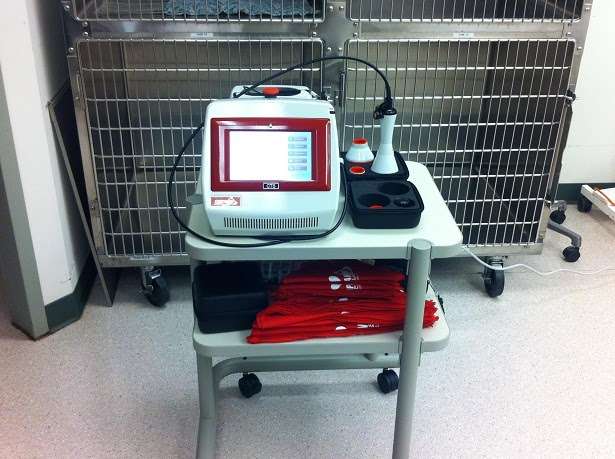 Ark of the Dunes Animal Hospital | 135 E 1100 N, Chesterton, IN 46304, USA | Phone: (219) 926-9797