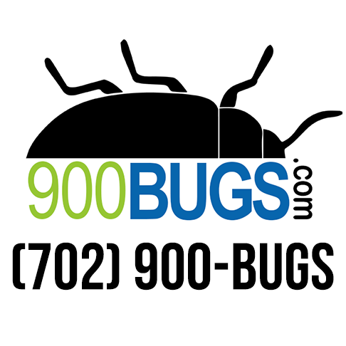 900BUGS.com | 2590 E Windmill Ln #313, Henderson, NV 89074 | Phone: (702) 900-2847