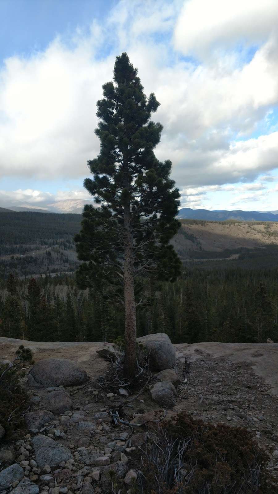 Upper Wind River | Estes Park, CO 80517, USA