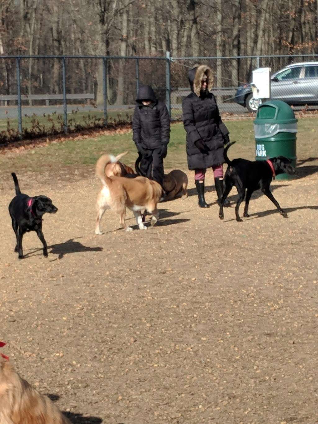 Thompson dog park | Fir Dr, Monroe Township, NJ 08831 | Phone: (732) 246-8311