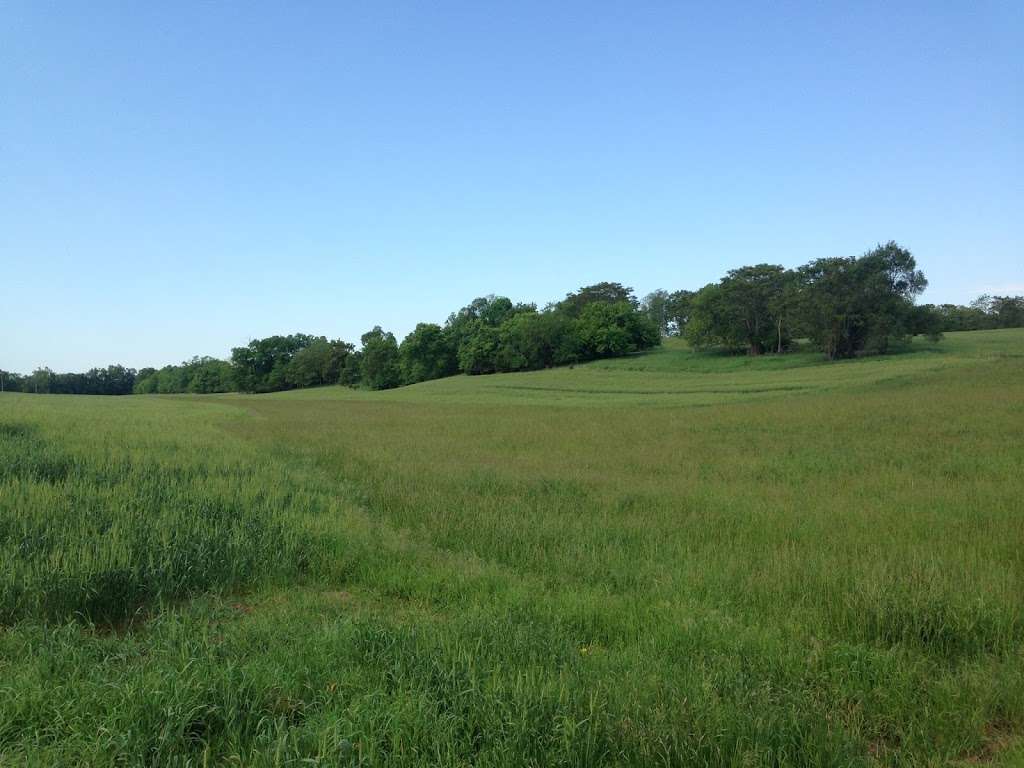 Schoolhouse Ridge North | 874 Bakerton Rd, Harpers Ferry, WV 25425, USA