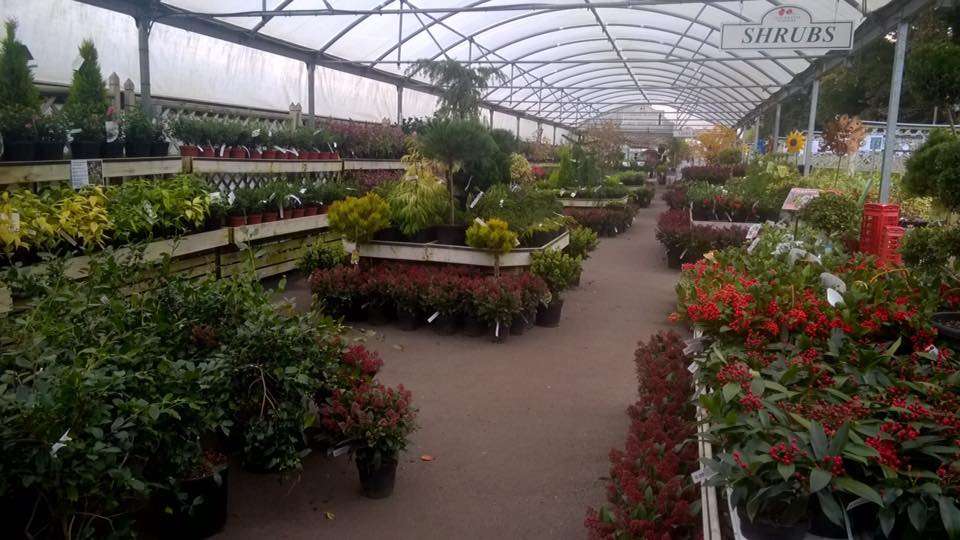 Clockhouse Nursery Ltd | Forty Hill, Enfield EN2 9EU, UK | Phone: 020 8363 1016