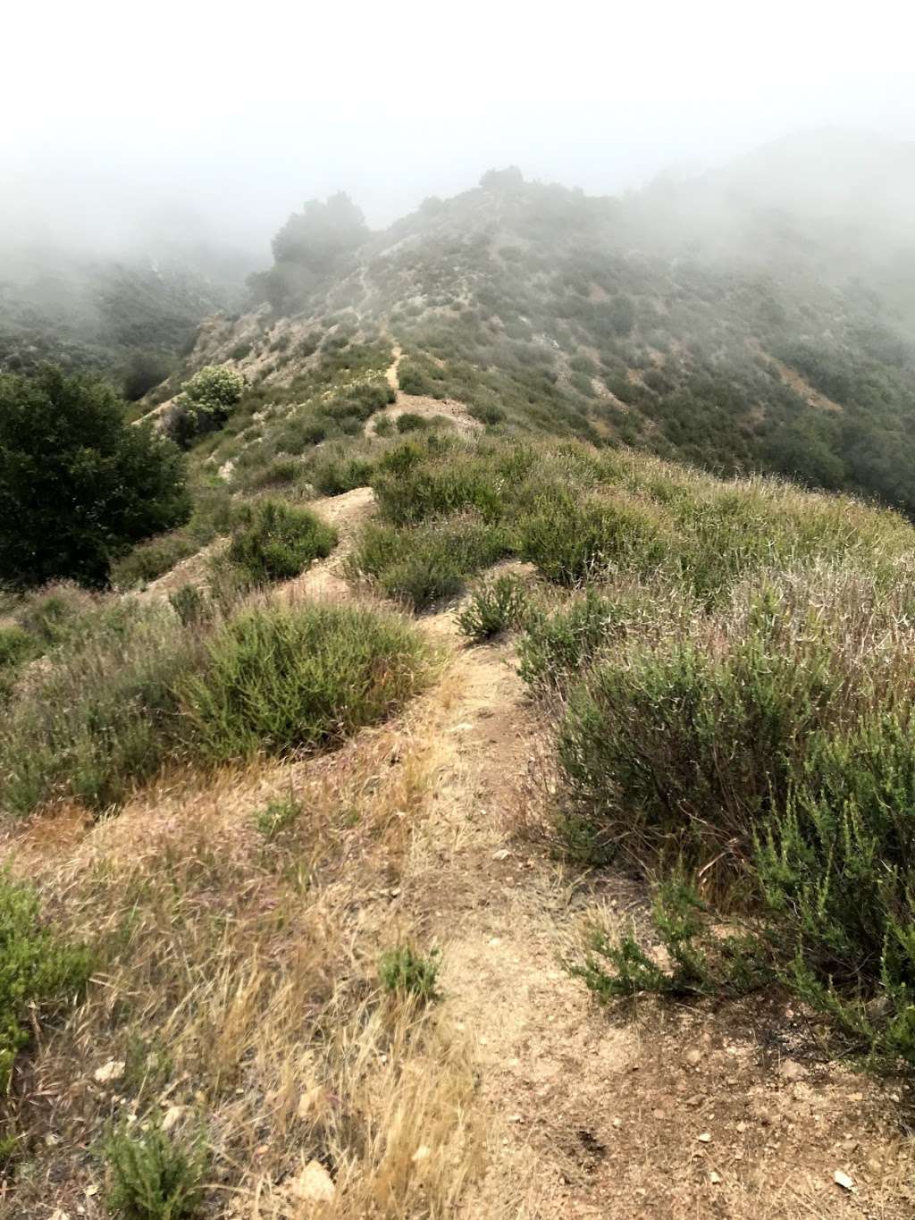 Brown mountain trail | Altadena, CA 91001, USA