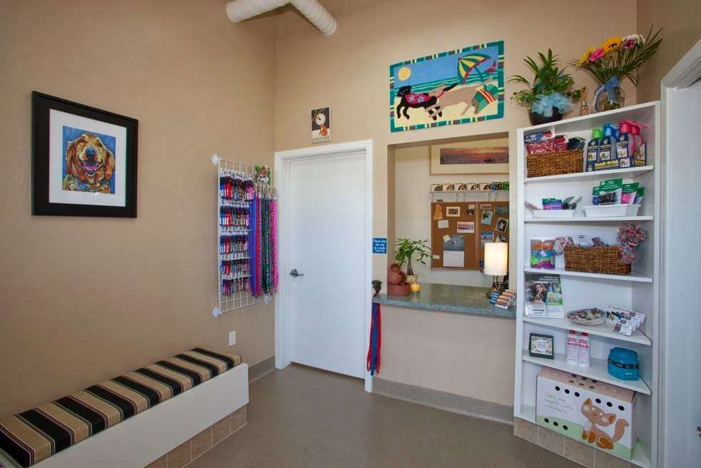 Bodega Bay Veterinary Hospital | 1365 Bodega Ave, Bodega Bay, CA 94923 | Phone: (707) 377-4153