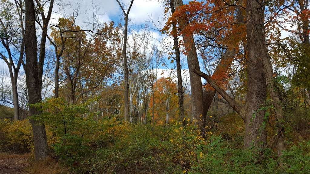 Bernadette Morales Nature Preserve | 103 Capner St, Flemington, NJ 08822, USA | Phone: (908) 782-1158