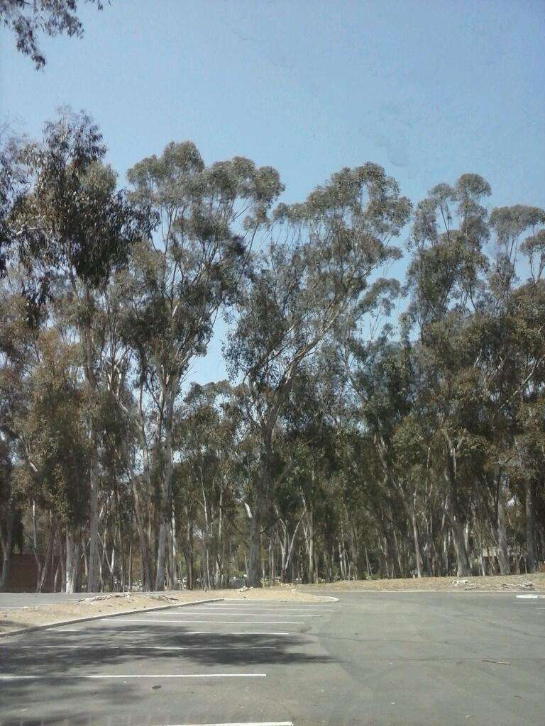 Willow Creek Rd & Old Grove Rd | San Diego, CA 92131, USA