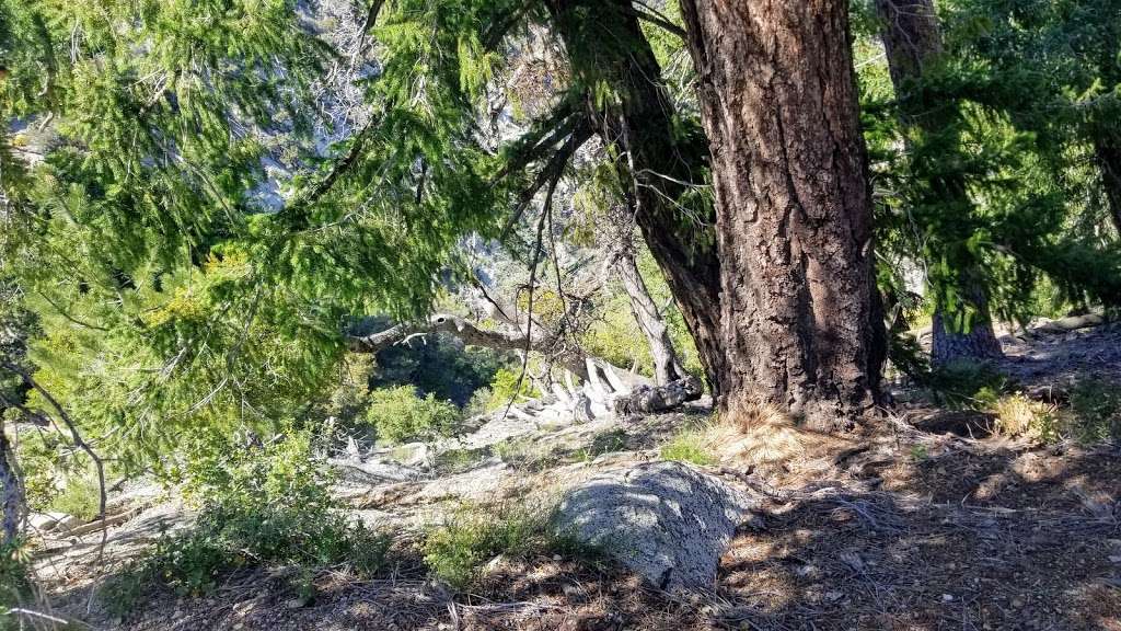 Sturtevant & Rim Trail | Angeles National Forest, Sturtevant Trail, Sierra Madre, CA 91024, USA