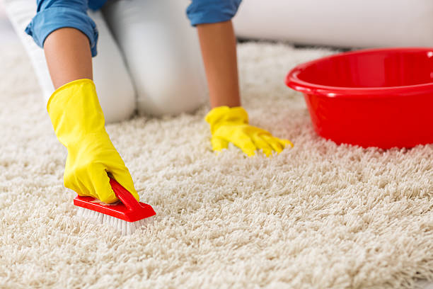 Lohnes Carpet Cleaning | 1507, I-35E, DeSoto, TX 75115, USA | Phone: (351) 200-8435