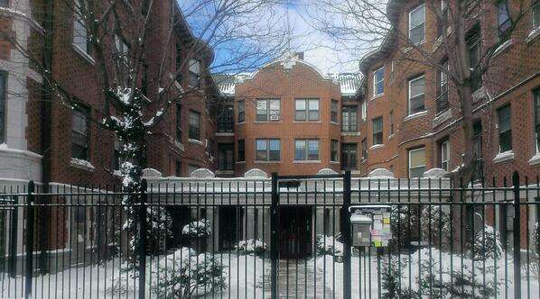 Gray Health Inc | 1154 W Lunt Ave, Chicago, IL 60626, USA | Phone: (773) 373-9175