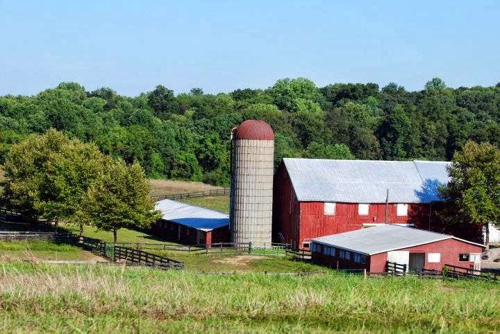 Rolling Acres Farm- Hunter/Jumper Horse Boarding, Lessons, Sales | 3111 Mt Carmel Cemetery Rd, Brookeville, MD 20833 | Phone: (301) 461-7159