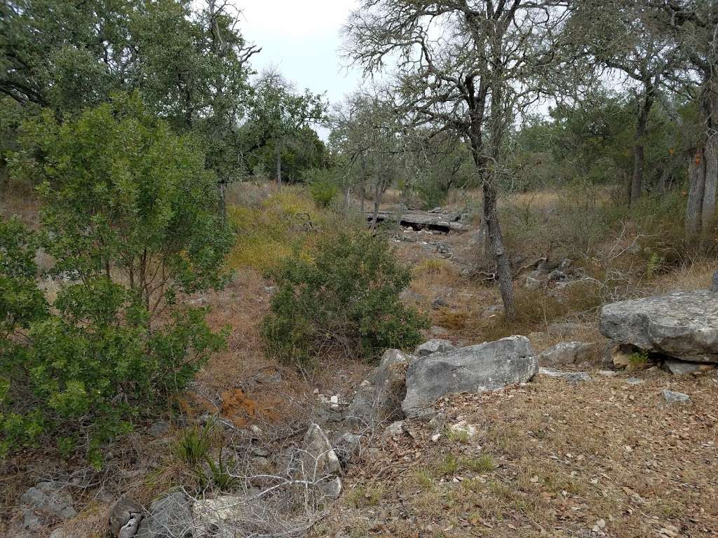 Bracken Cave Preserve (Bat Conservation International Inc Events | 26101 FM3009, San Antonio, TX 78266, USA