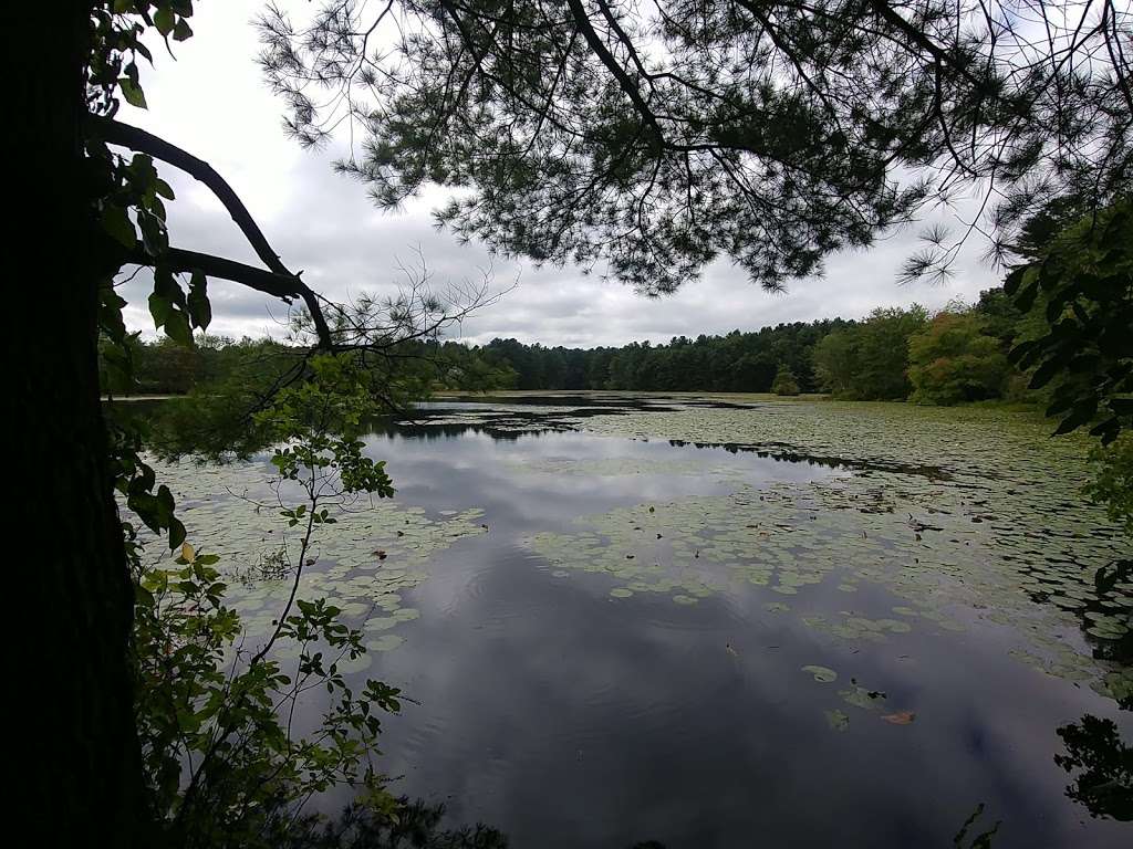 Greenough Land parking | Maple St, Carlisle, MA 01741, USA