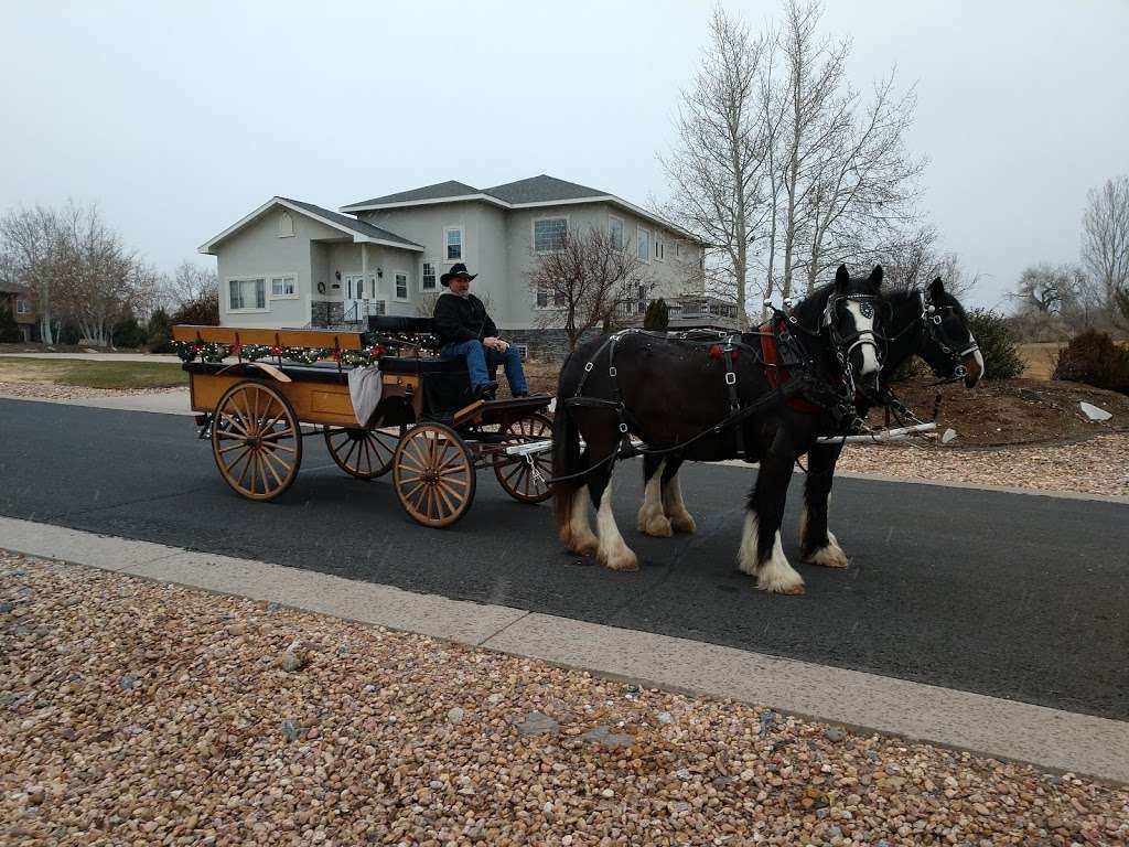 Mountain Shadow Carriages | 10175 CO-392, Windsor, CO 80550, USA | Phone: (303) 358-3198