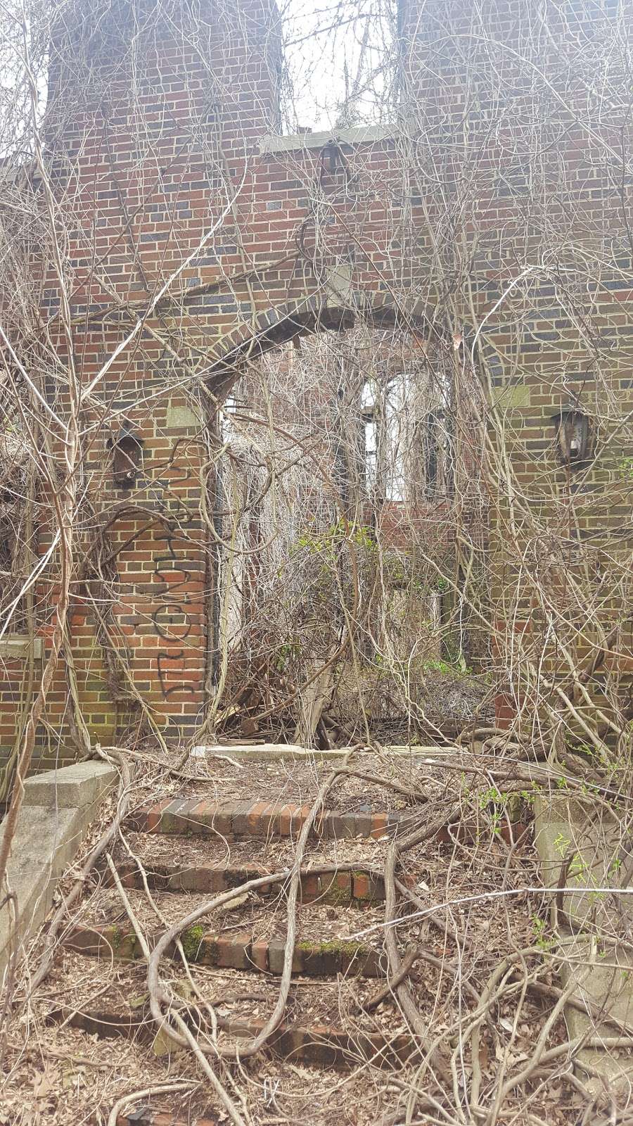 Forest Haven Asylum | Fort Meade, MD 20755