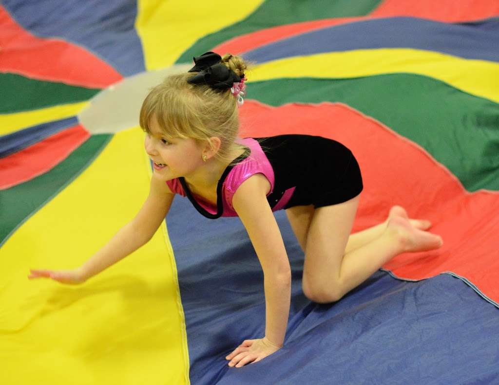 Skyview Gymnastics | 2603 Back Acre Cir, Mt Airy, MD 21771, USA | Phone: (301) 829-7998