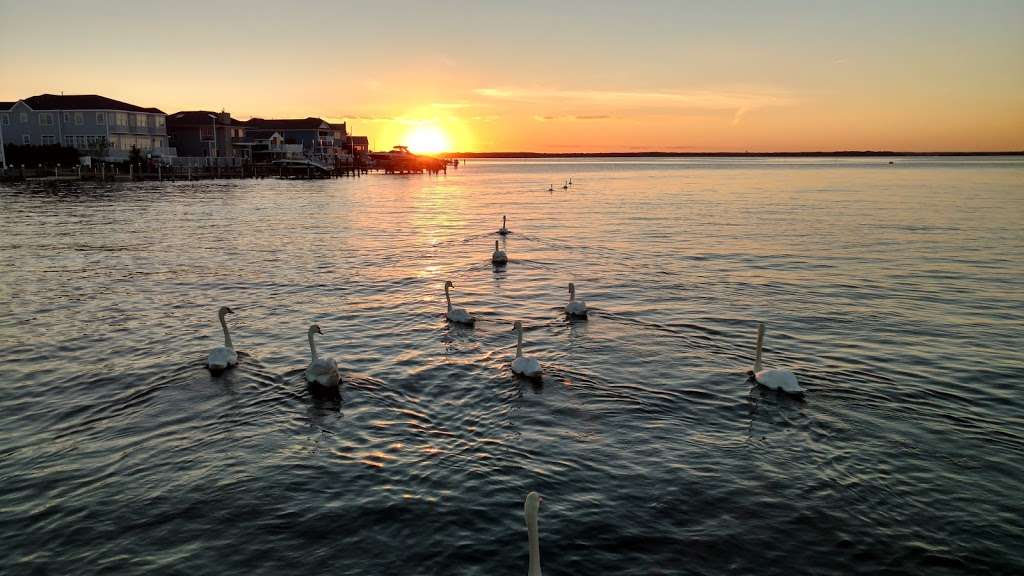 Brooklyn Avenue Bay Beach & Boat Ramp | Bay Boulevard, Lavallette, NJ 08735 | Phone: (732) 793-2111